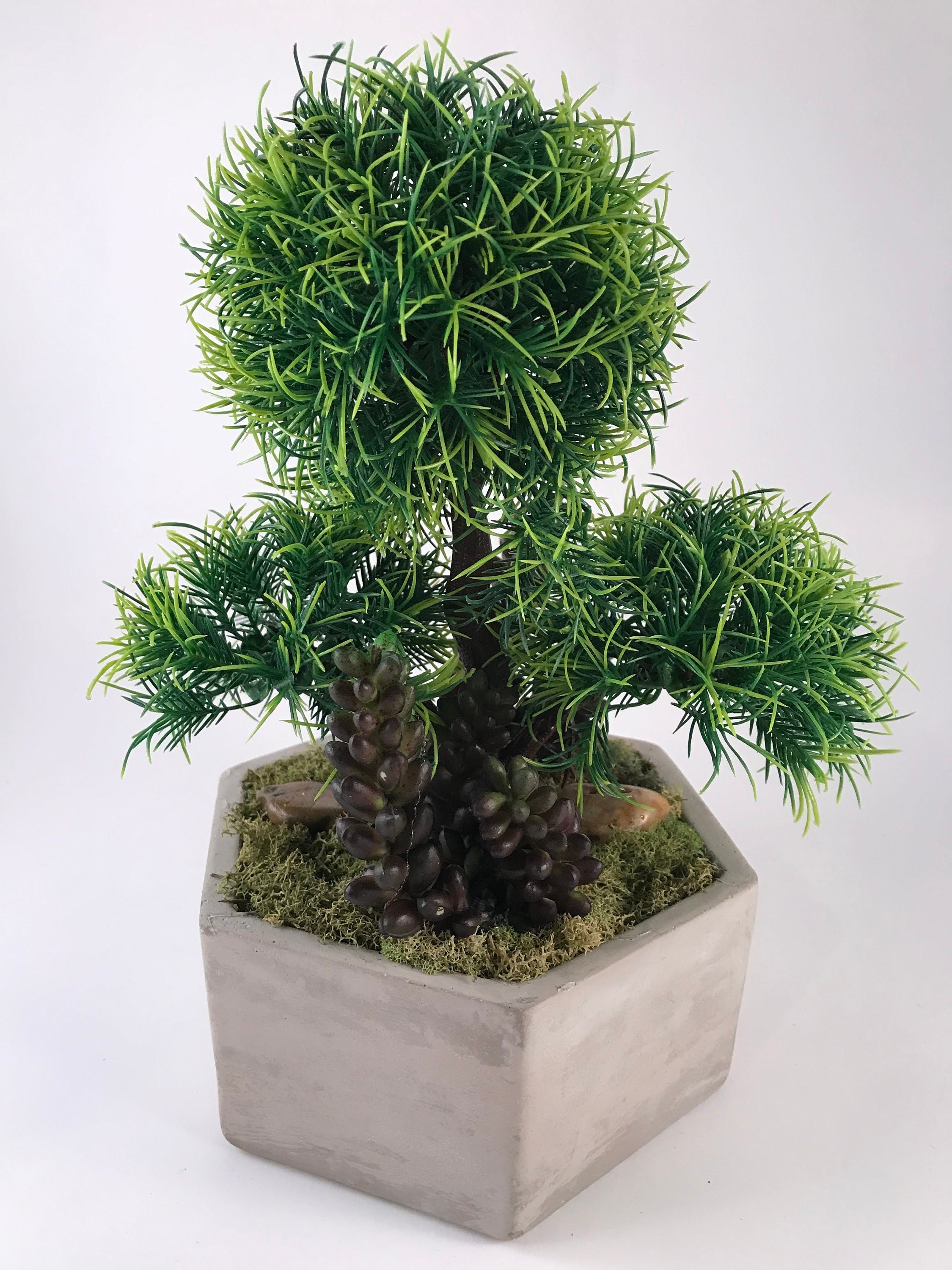 https://i.etsystatic.com/10620570/r/il/9e0cb0/1767469355/il_fullxfull.1767469355_nu36.jpg