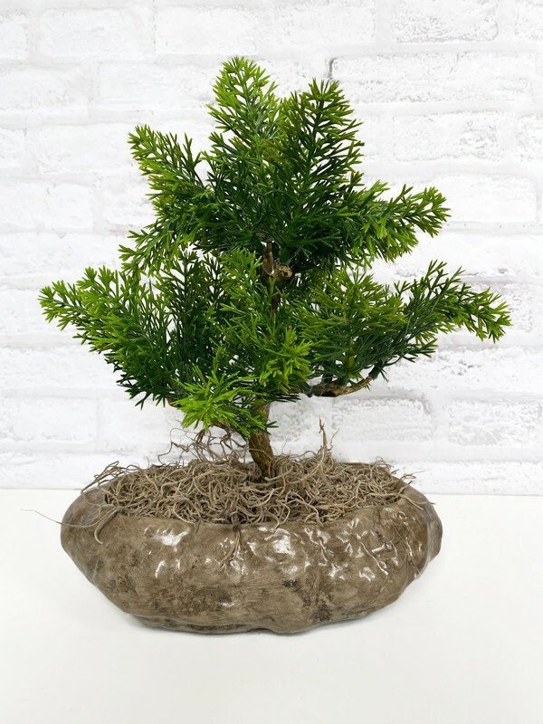 https://i.etsystatic.com/10620570/r/il/5f14d9/5198211052/il_fullxfull.5198211052_a5ed.jpg