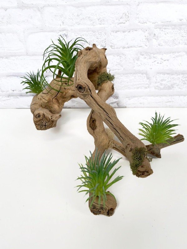 https://i.etsystatic.com/10620570/r/il/33b7e2/5197785406/il_fullxfull.5197785406_h7w2.jpg