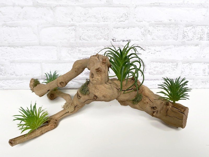 https://i.etsystatic.com/10620570/r/il/e7caac/5197785450/il_fullxfull.5197785450_sk4p.jpg