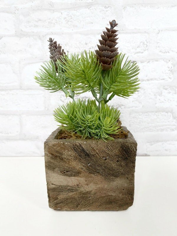 https://i.etsystatic.com/10620570/r/il/dec35e/5197480980/il_fullxfull.5197480980_6wtc.jpg