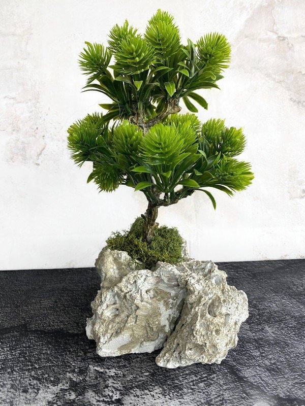 https://i.etsystatic.com/10620570/r/il/3b8974/5400068791/il_fullxfull.5400068791_gv6w.jpg
