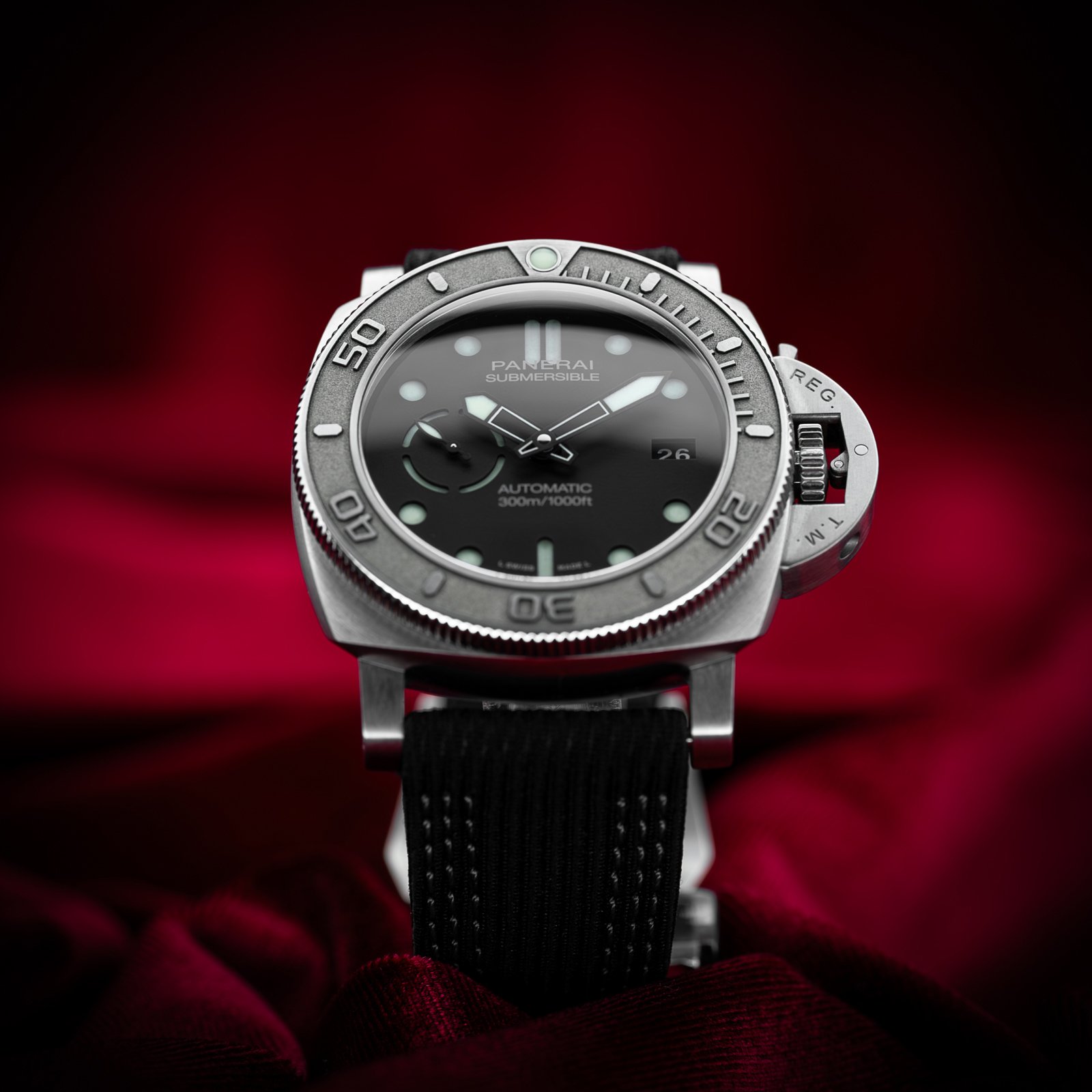 PAM00984SubMikeHornEdition.03.jpg
