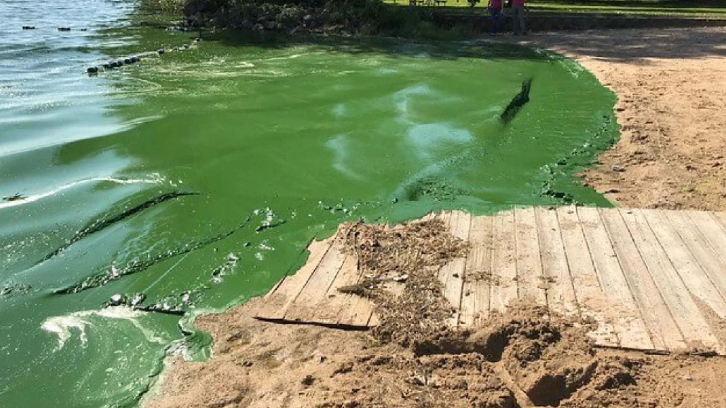 Protect Our Waters
