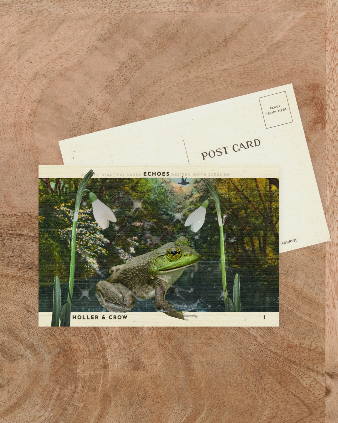 Echoes Postcard