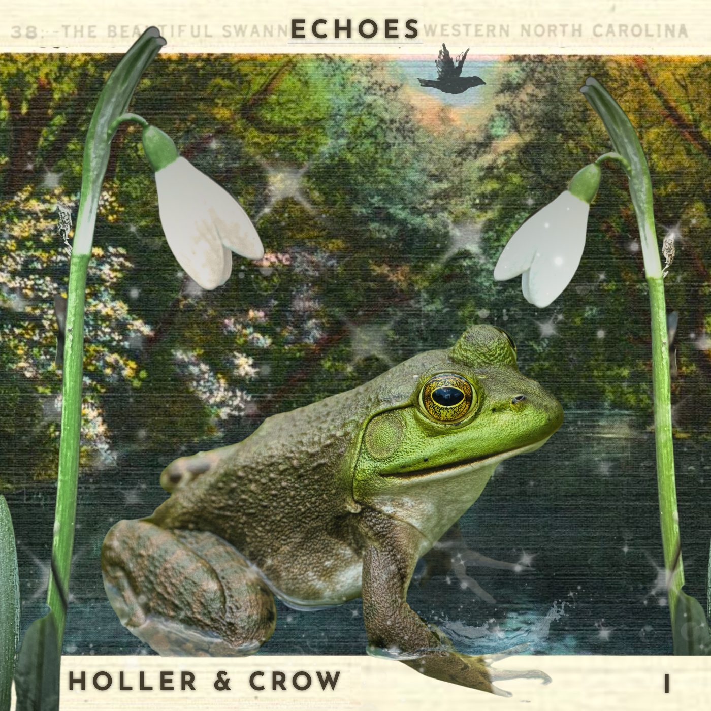 Echoes - Digital Use - Final.png
