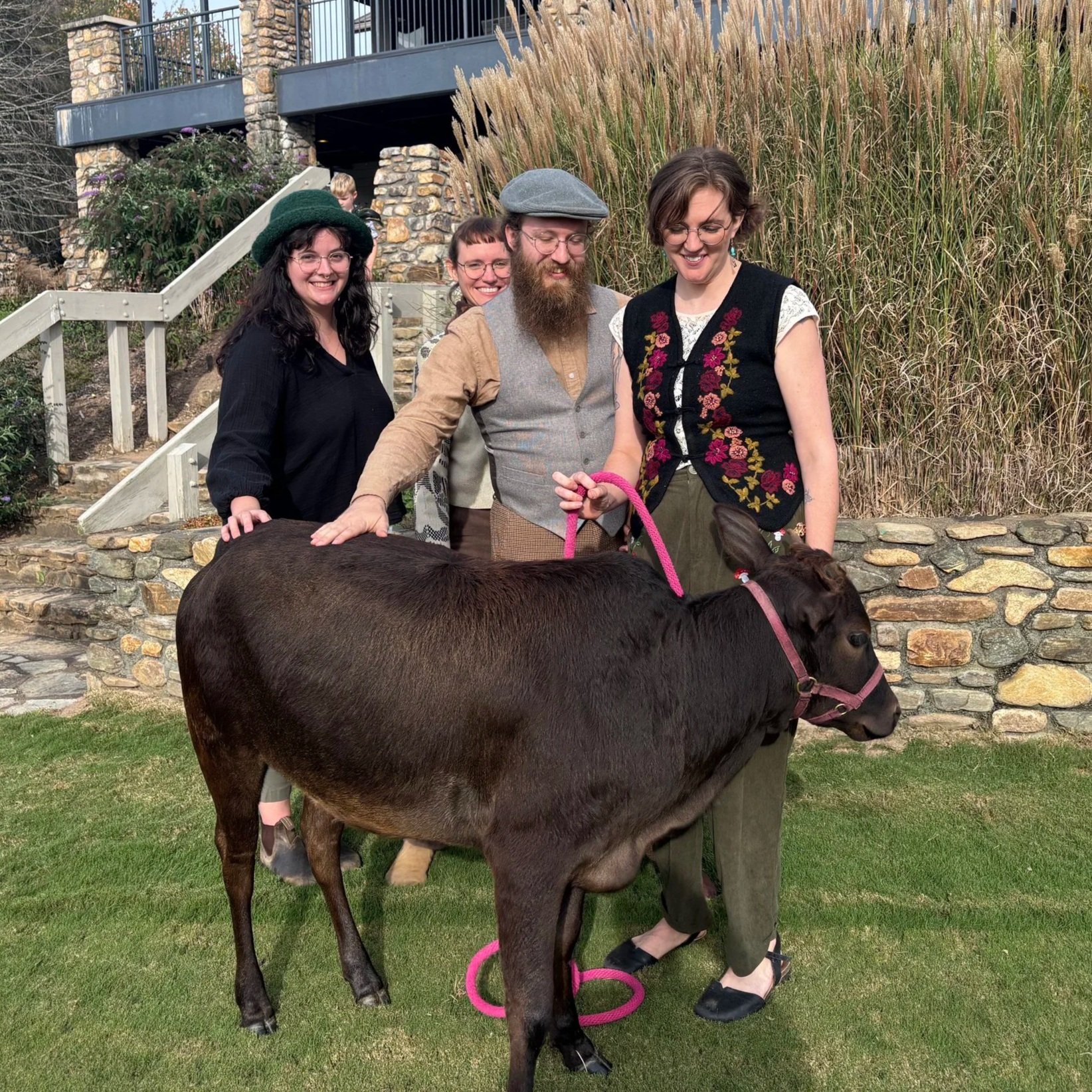 Holler & Crow: Jenny Walls, Ellison Graham, Jon Snead and Lark Frazier are gathered outdoors on a lawn, interacting with a small black calf with a pink halter at the Asheville Country Club.