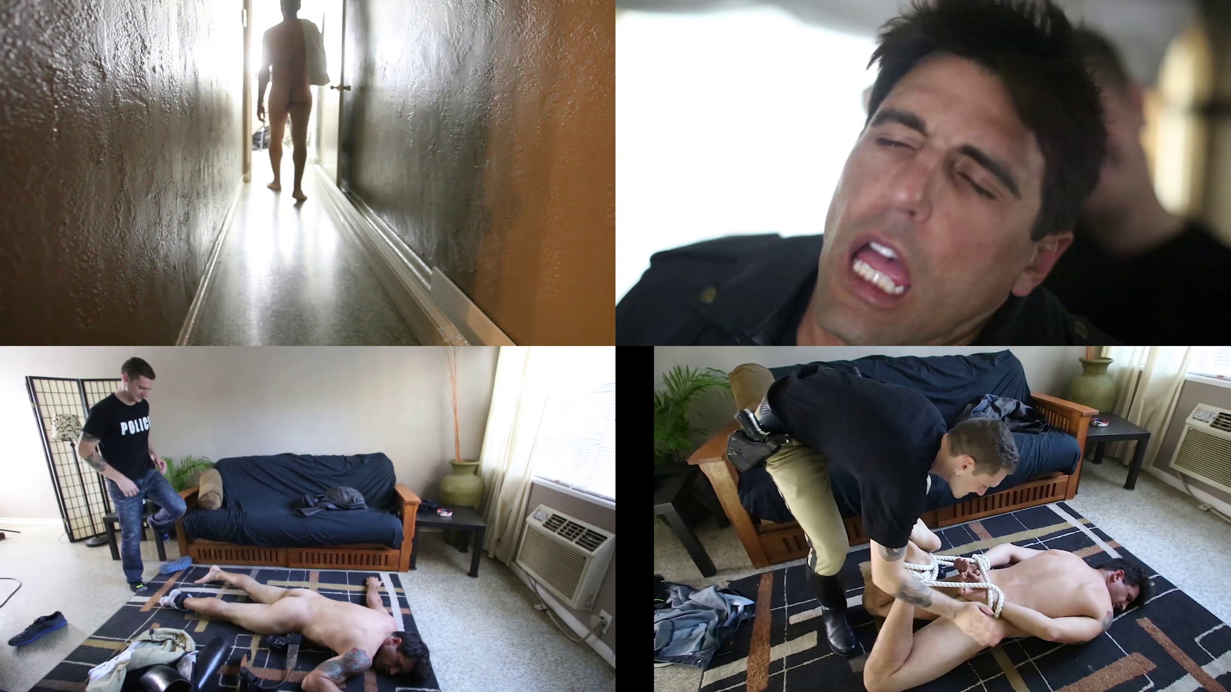 TASED.mp4-MoviePrint-1 edit 1.png