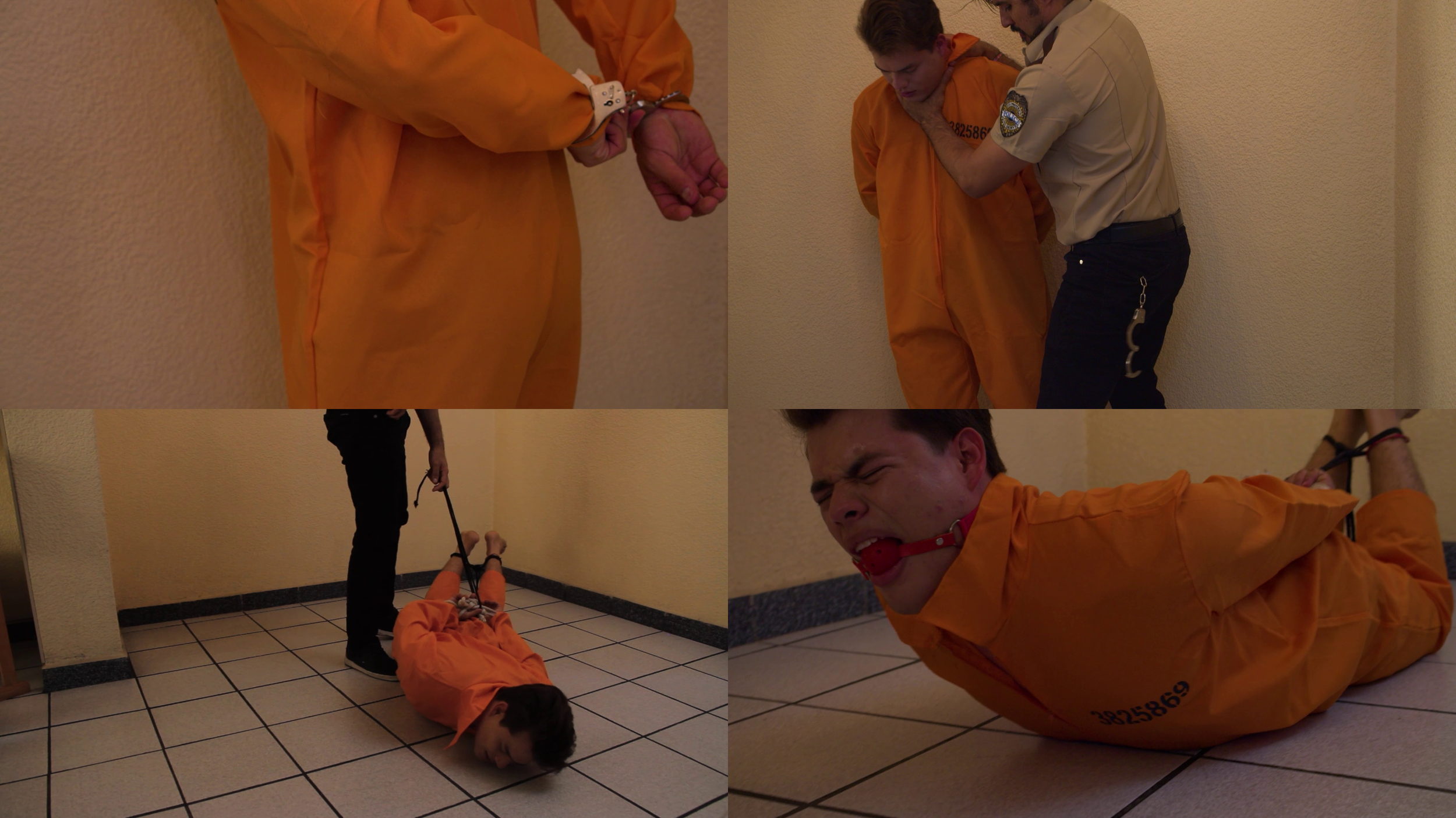 Inmate Florian Is Bound And Tased.mp4-MoviePrint-1 edit 1.png