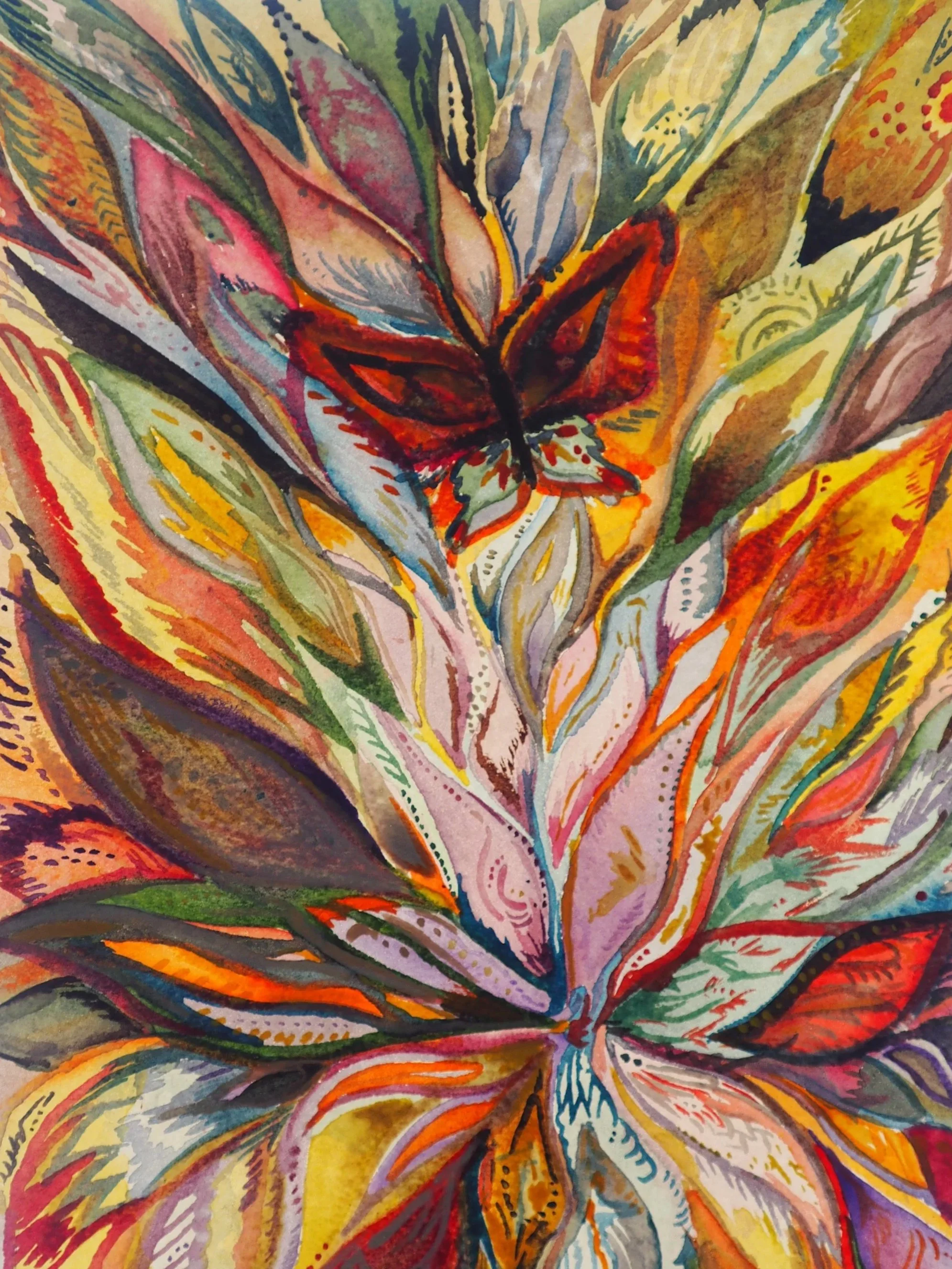 Butterfly