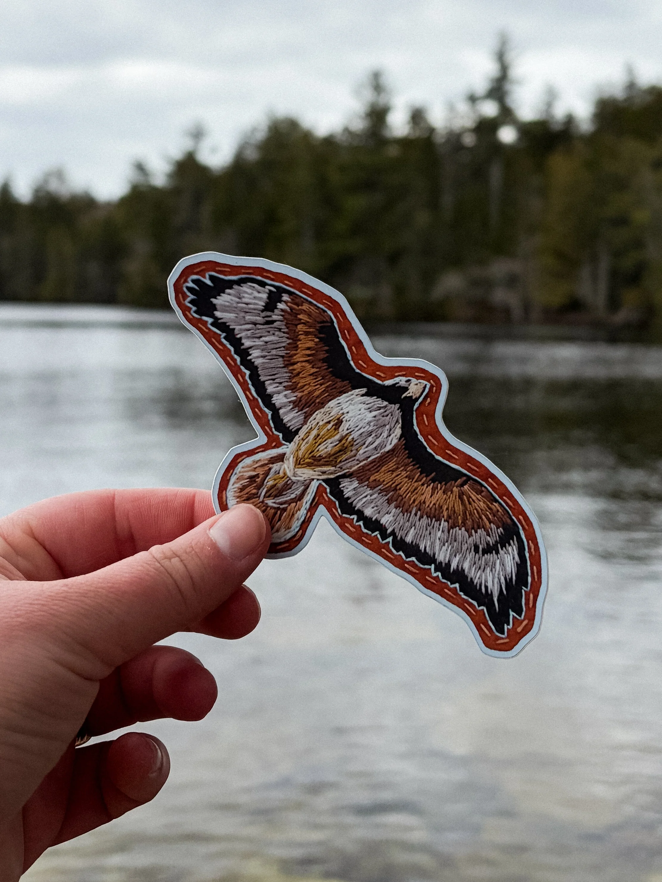 Red-Tailed Hawk Sticker