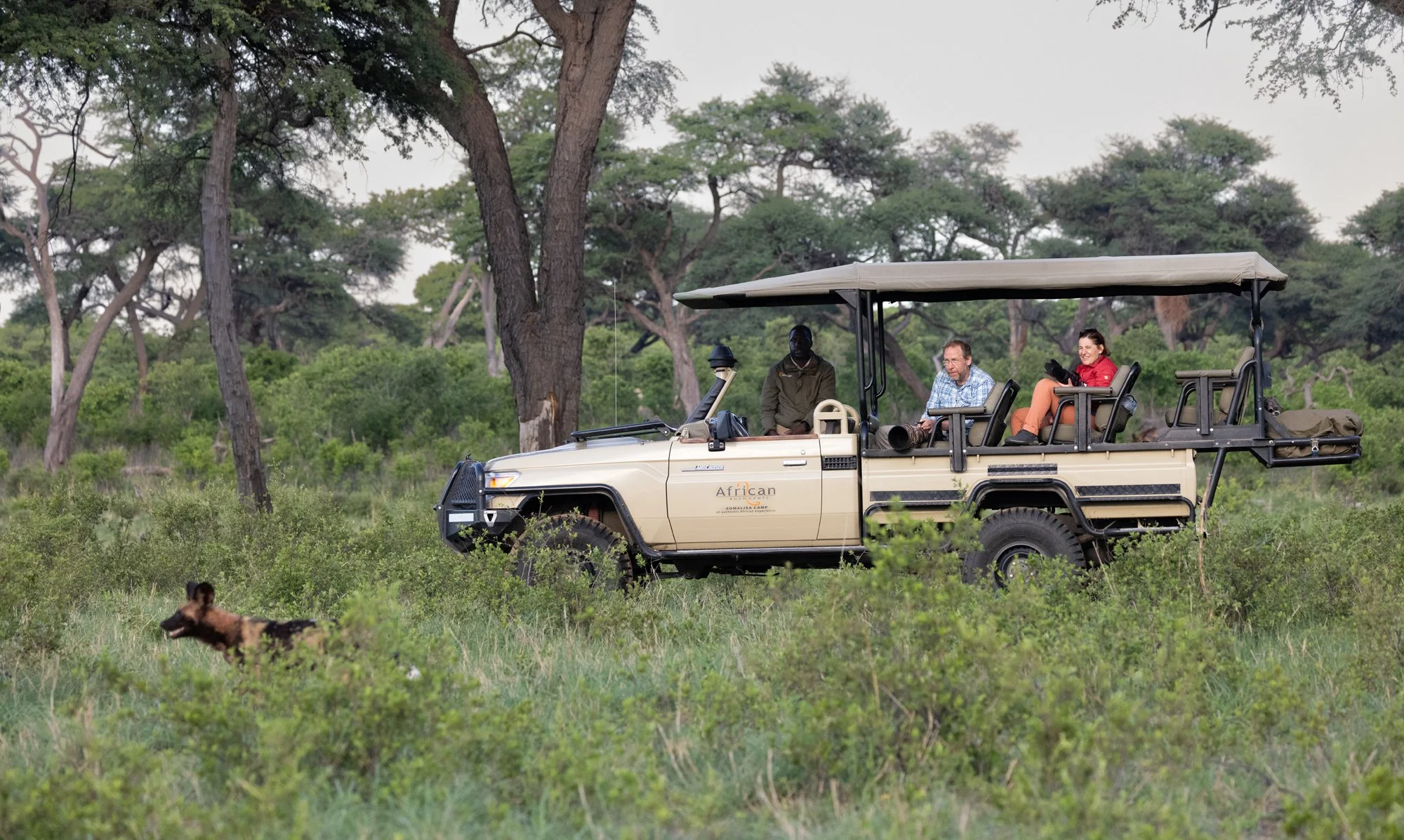 Tourists riding in an open-air safari vehicle in a grassland with trees, with a dog or wild animal in the foreground.