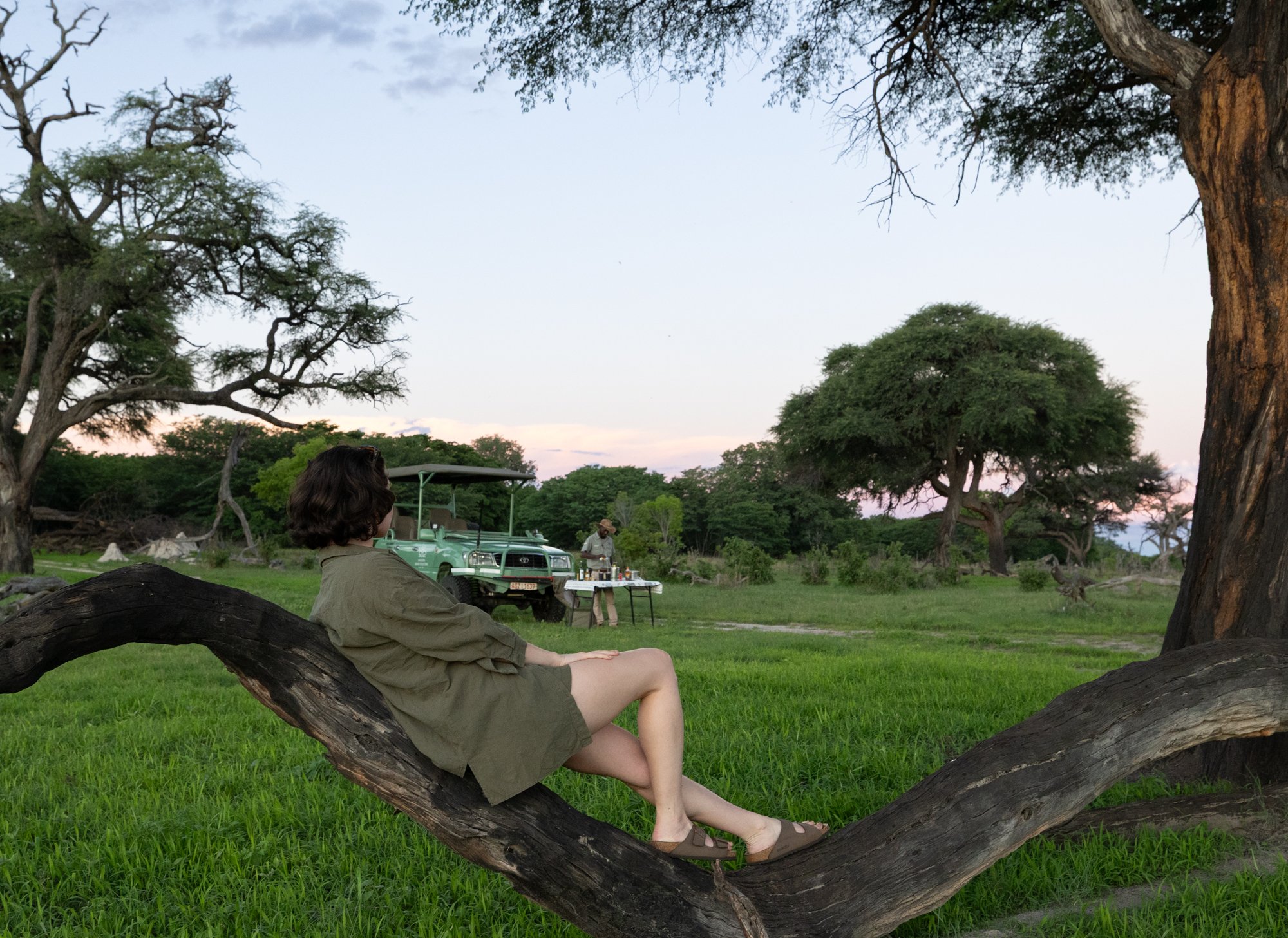 A woman sitting on a tree branch in a grassy field during sunset, with a safari vehicle and a person preparing drinks in the background, surrounded by trees.