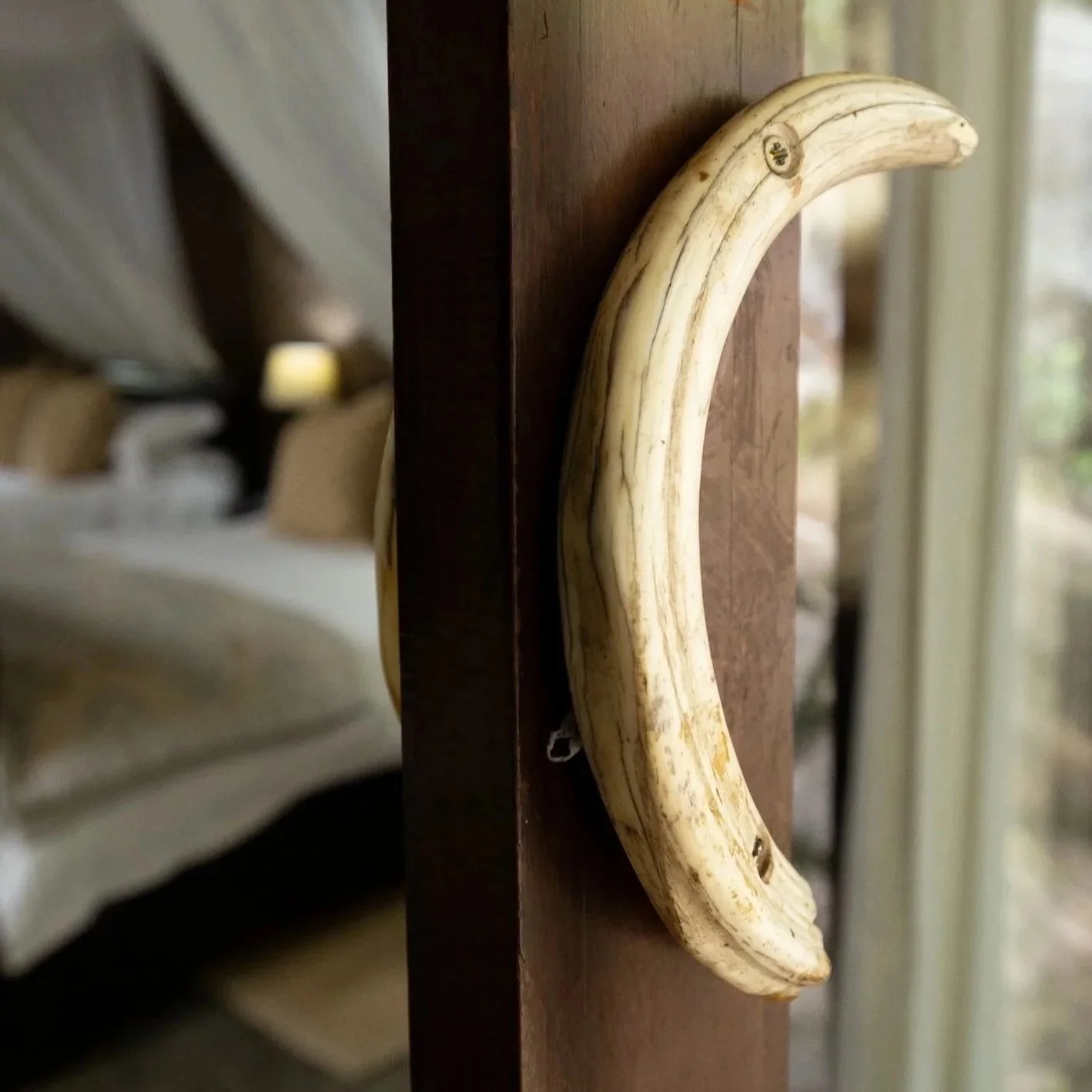 Close-up of a wooden door handle shaped like a banana, mounted on a wooden door, with a living room visible in the background.