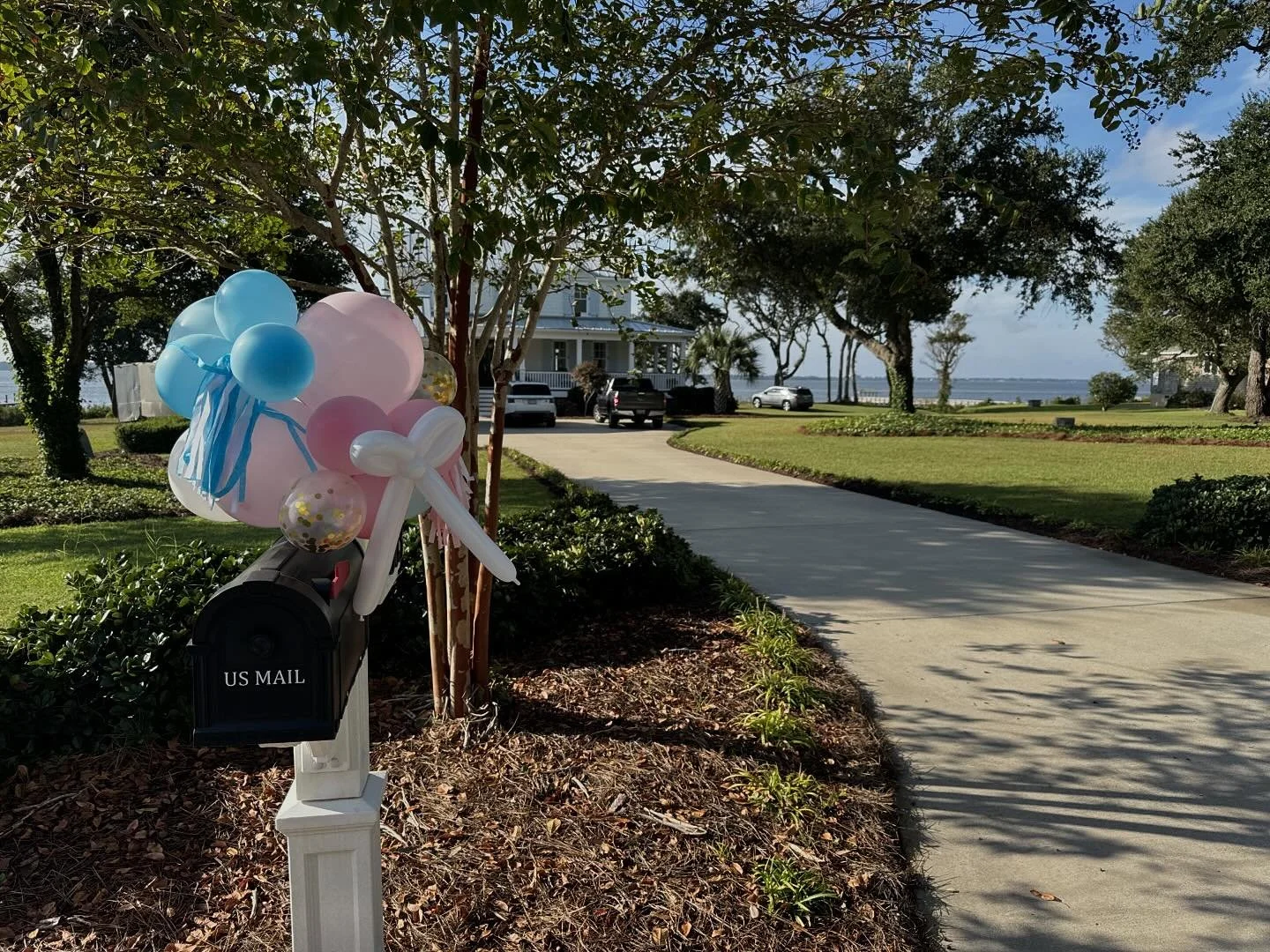 Gender Reveal. Just love all the balloons. 🎈