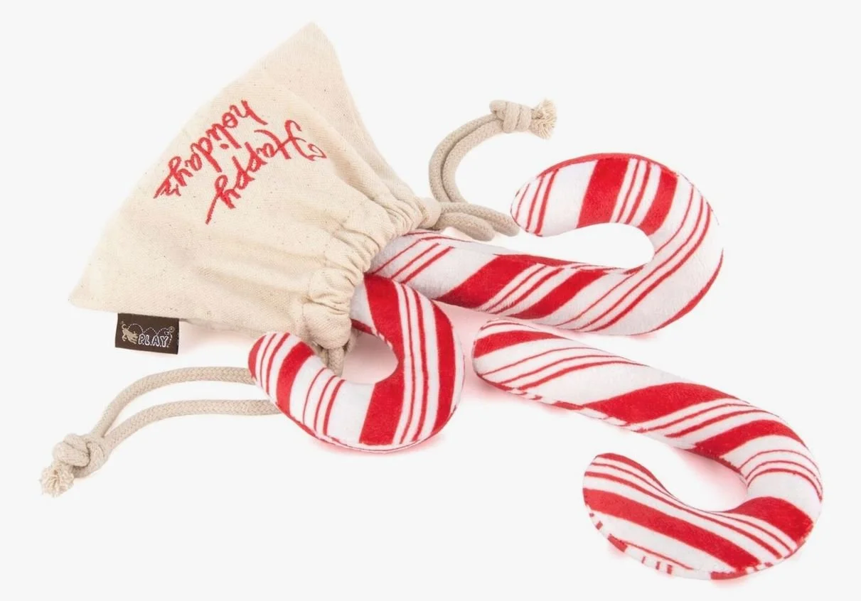 Puppy Cake Cookie Mix for Dogs Santa's Cookie — Cozy Clips Pet