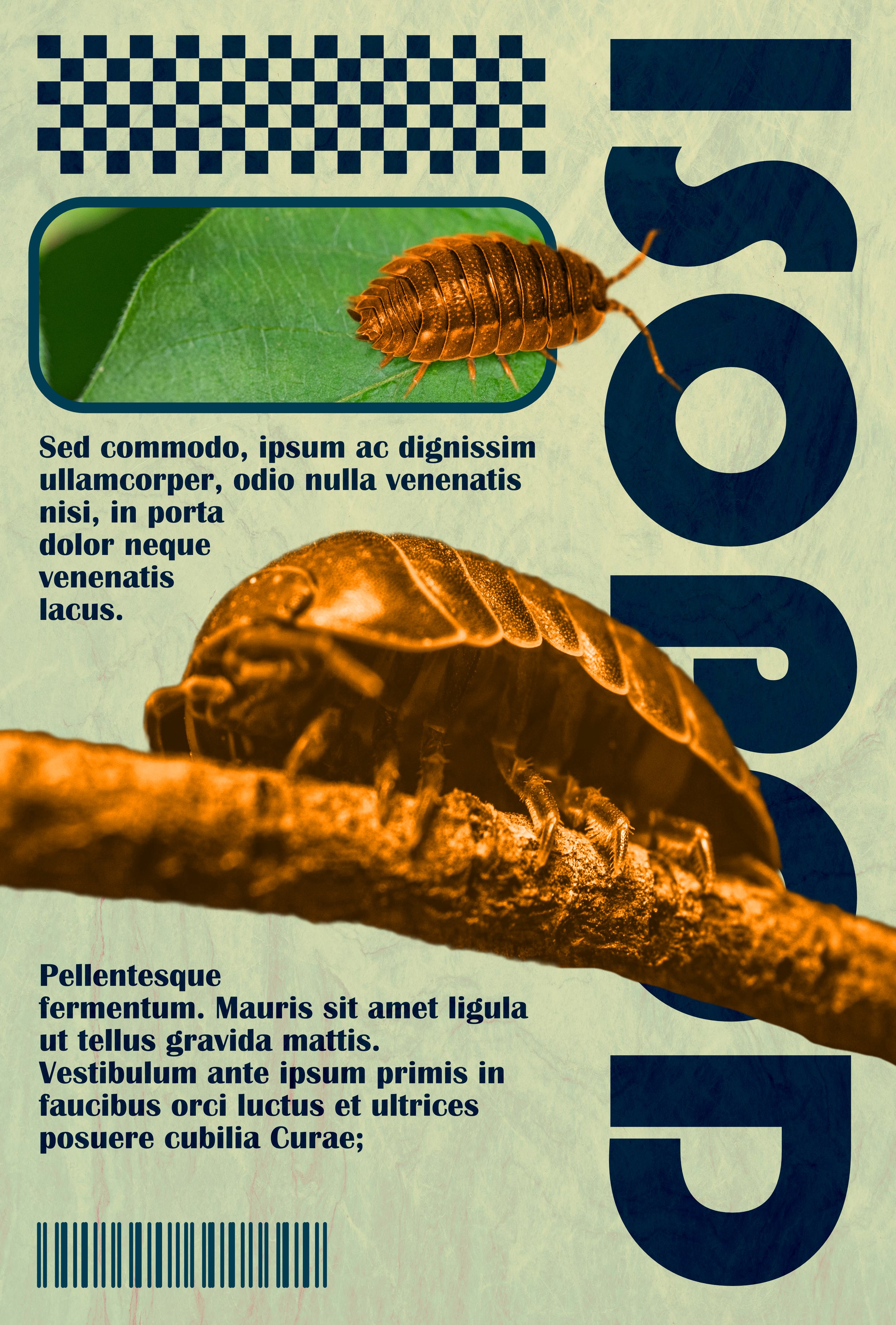 Close-up image of a pill bug on a branch, with a green leaf and a second pill bug above it, and various text blocks with placeholder content and a barcode.