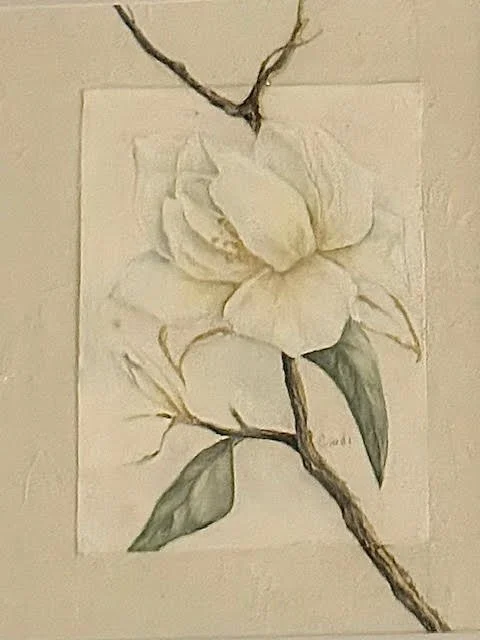 Calla Lilly (2)