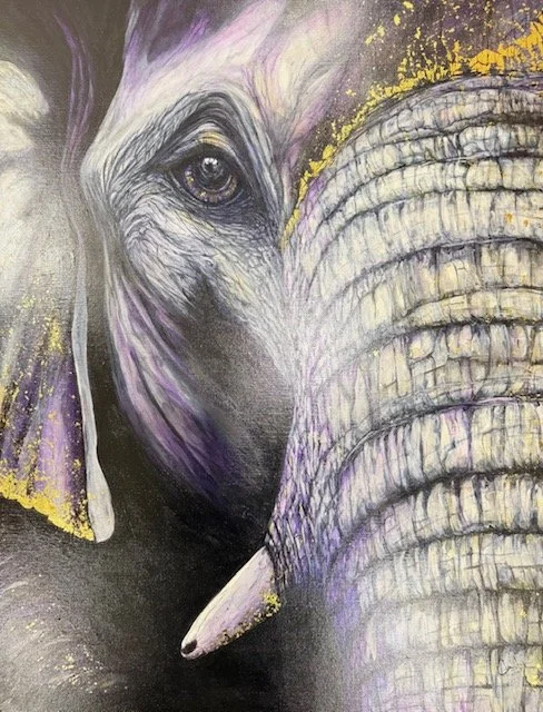 Elephant 1