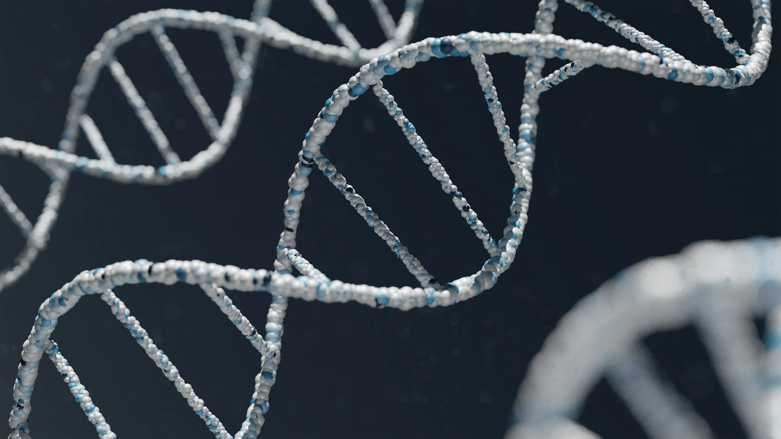 What Really Happens in Your Body During Recovery - the biology explained