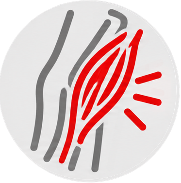 Quadriceps, Hamstring & Calf Injuries
