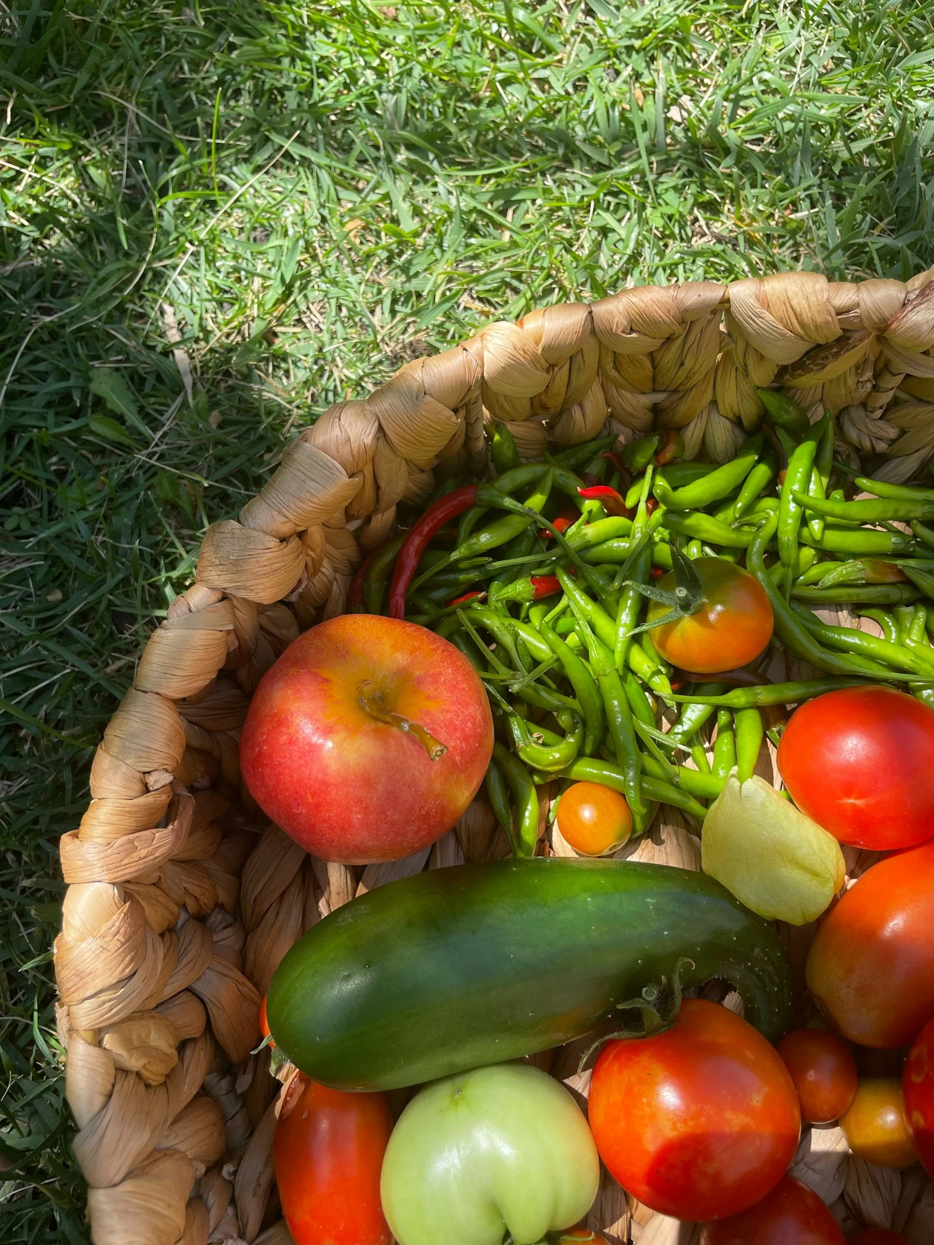 Community Farm Days 
