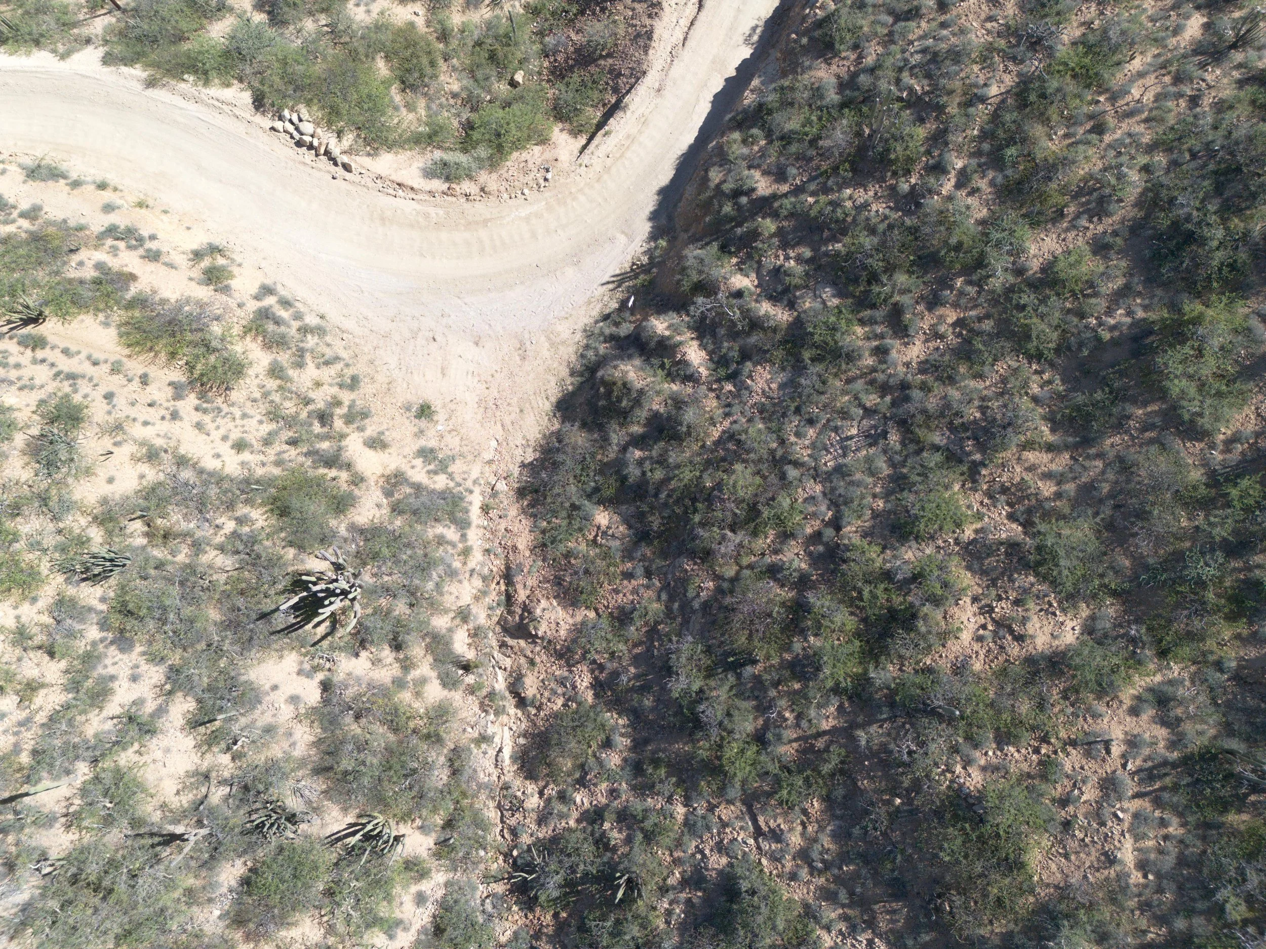 PHOTO-2026-01-10-15-40-22 2.jpg