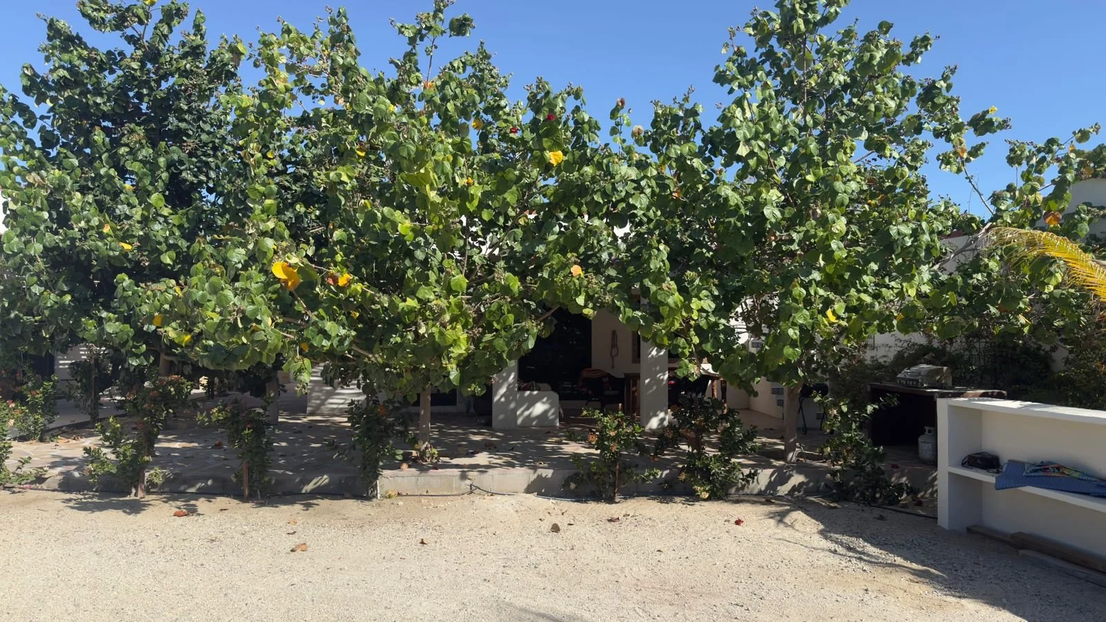 PHOTO-2026-03-09-16-38-23 10.jpg