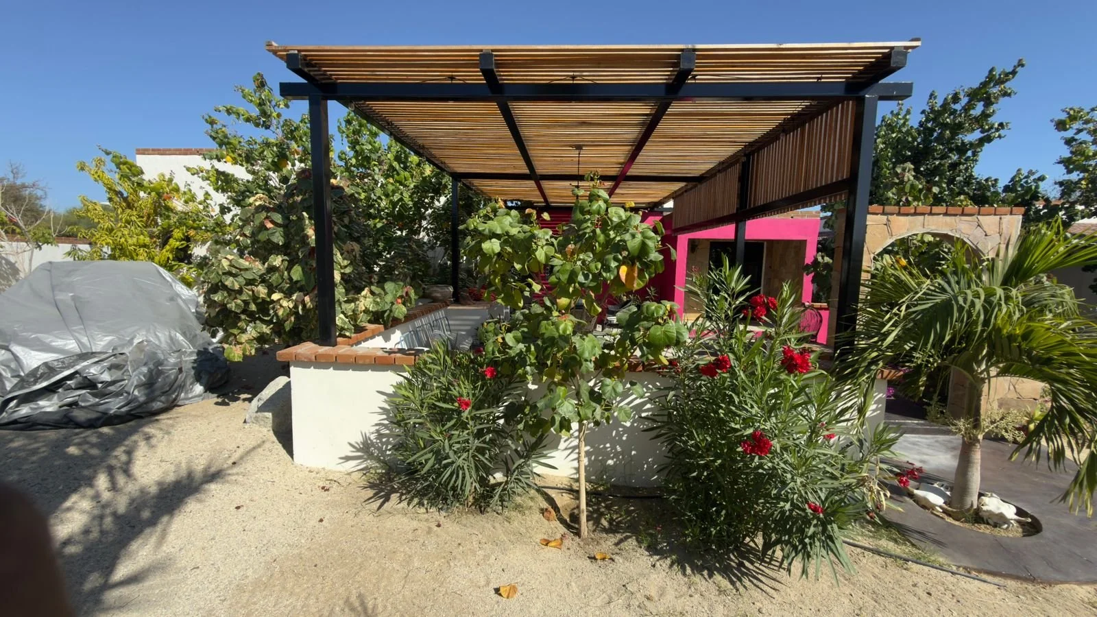 PHOTO-2026-03-09-16-38-22 5.jpg