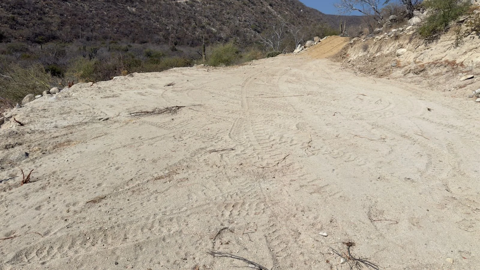 PHOTO-2026-03-09-14-20-20 4.jpg