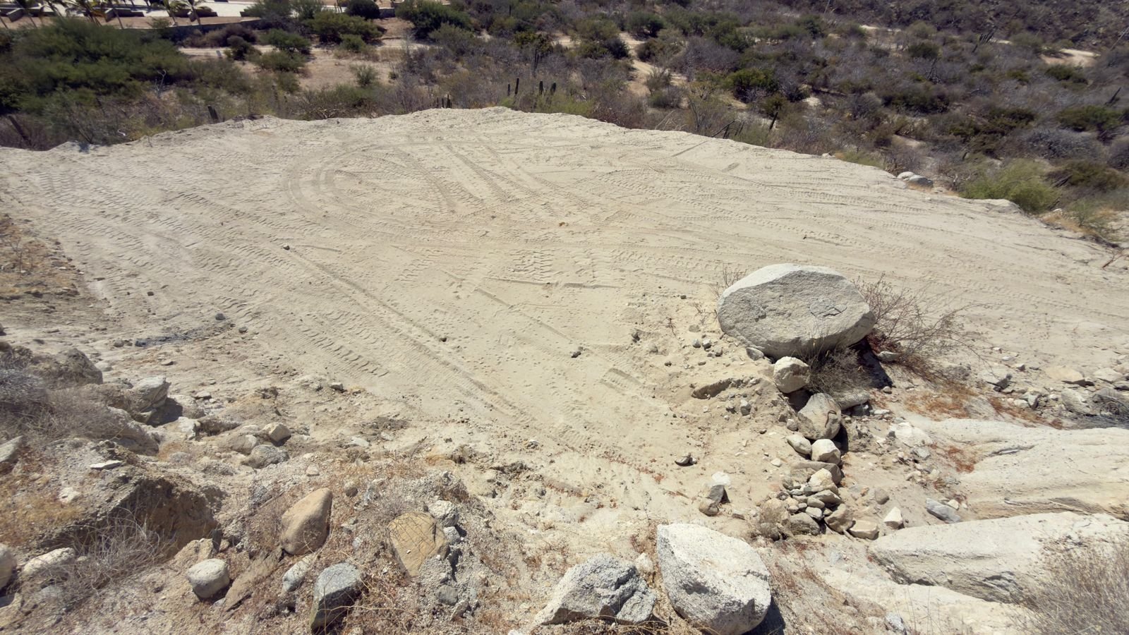 PHOTO-2026-03-09-14-20-21 5.jpg