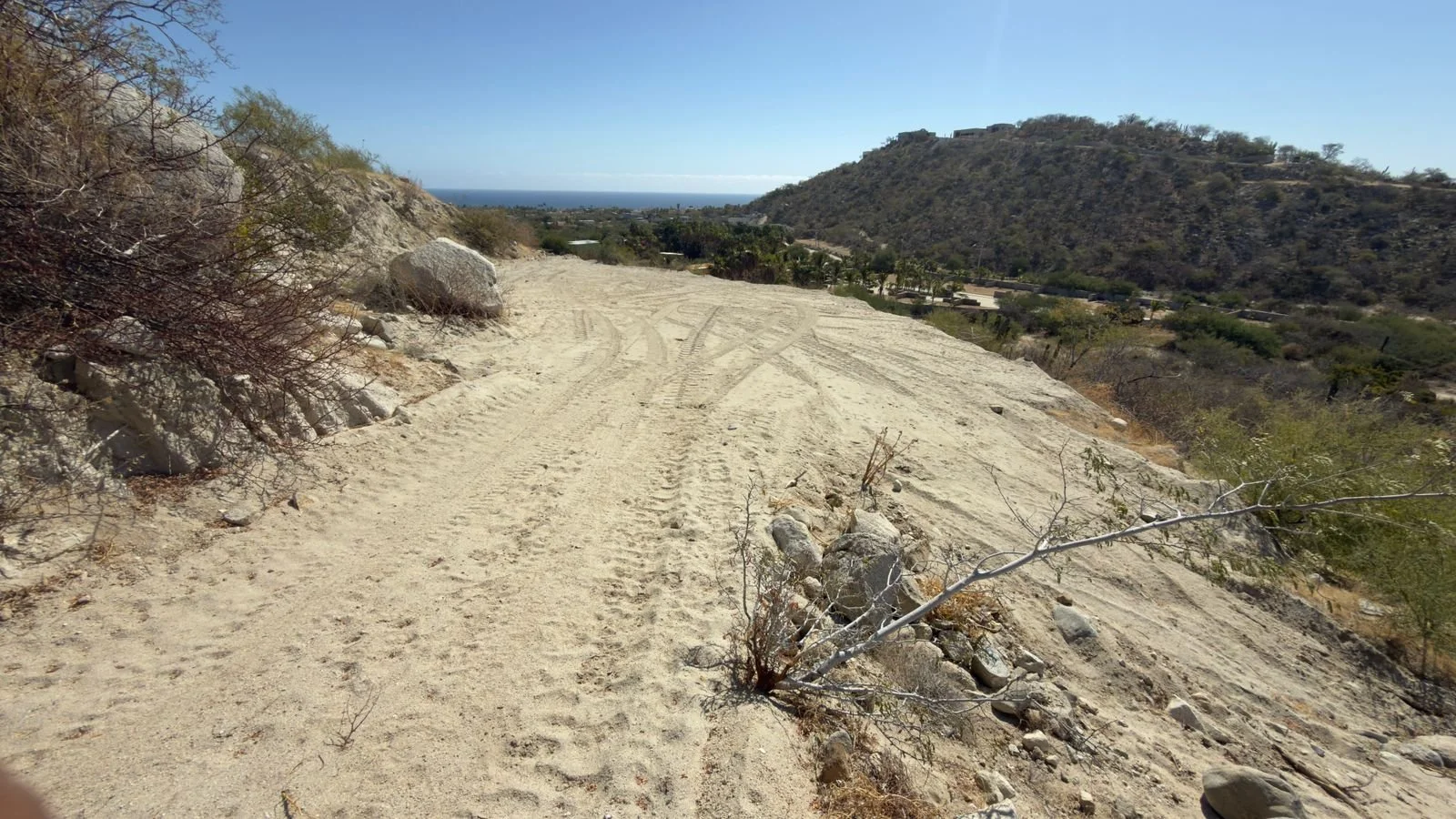 PHOTO-2026-03-09-14-20-20 8.jpg