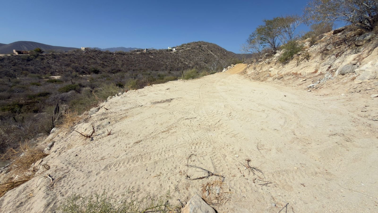 PHOTO-2026-03-09-14-20-20 3.jpg