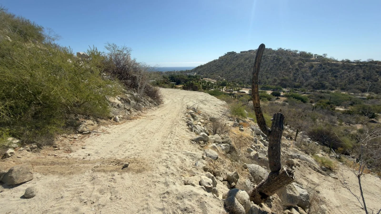 PHOTO-2026-03-09-14-20-21 4.jpg