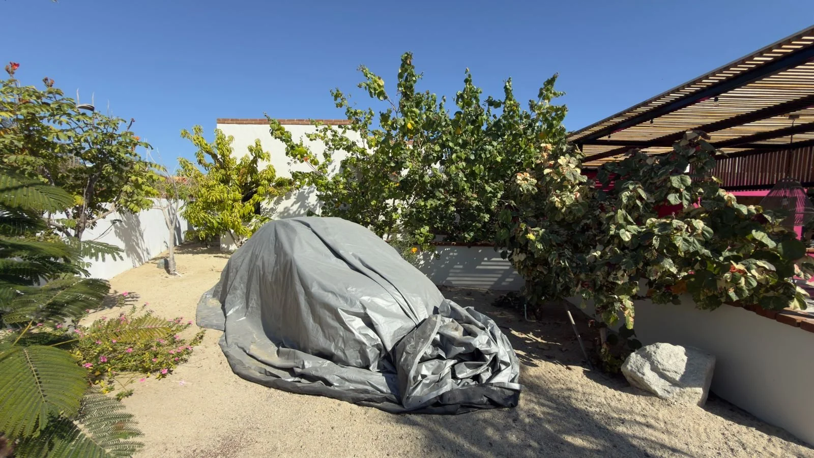 PHOTO-2026-03-09-16-38-22 7.jpg