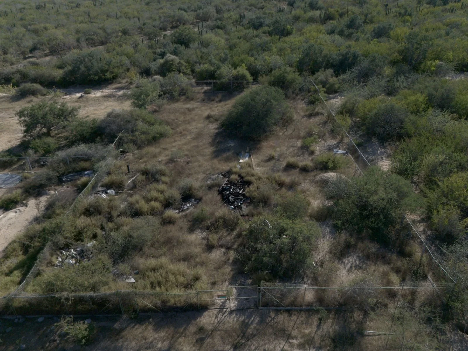 PHOTO-2025-12-26-09-06-25 4.jpg