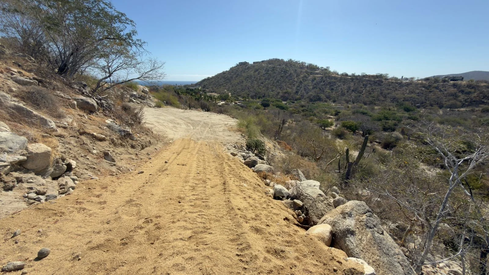 PHOTO-2026-03-09-14-20-21 10.jpg