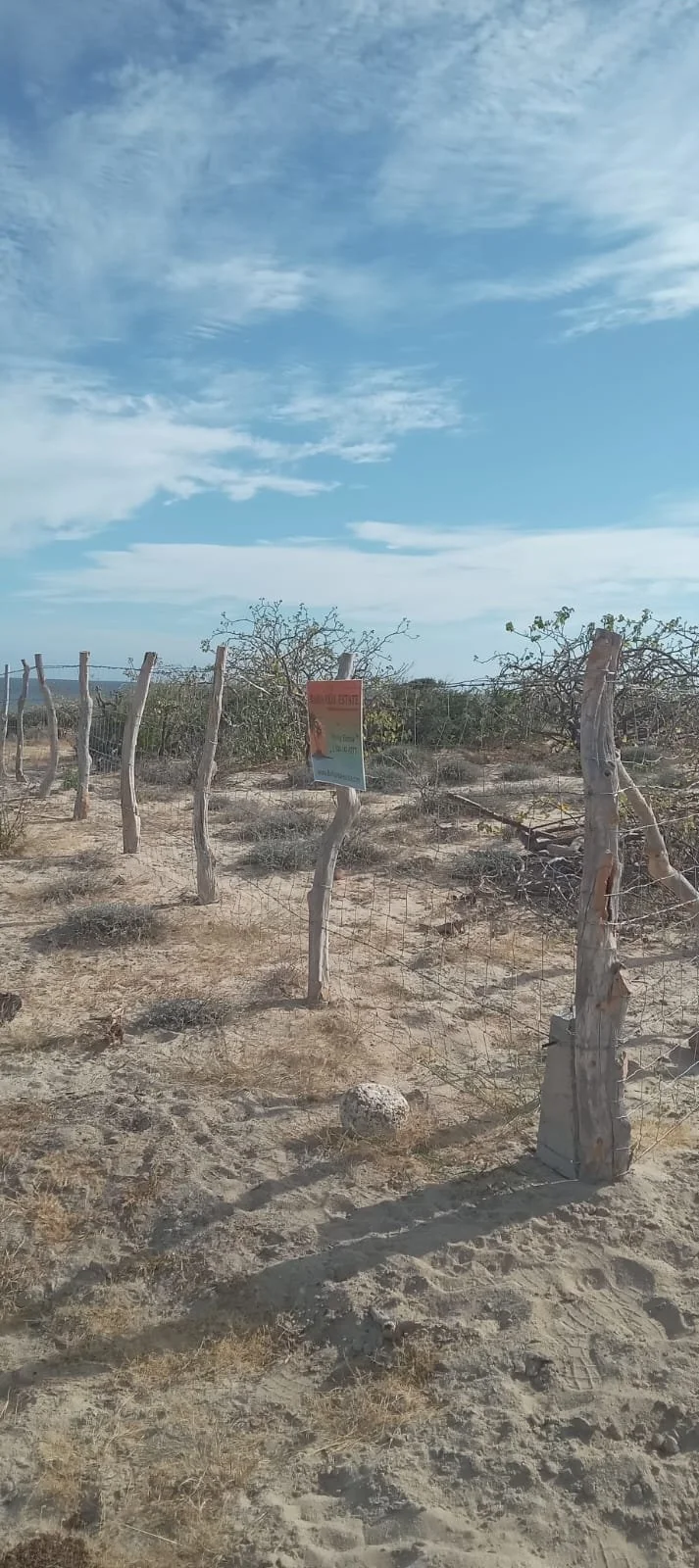 PHOTO-2025-12-04-12-02-15 2.jpg