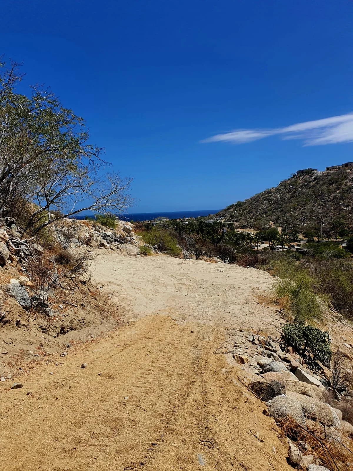 PHOTO-2026-03-10-13-12-42 2.jpg