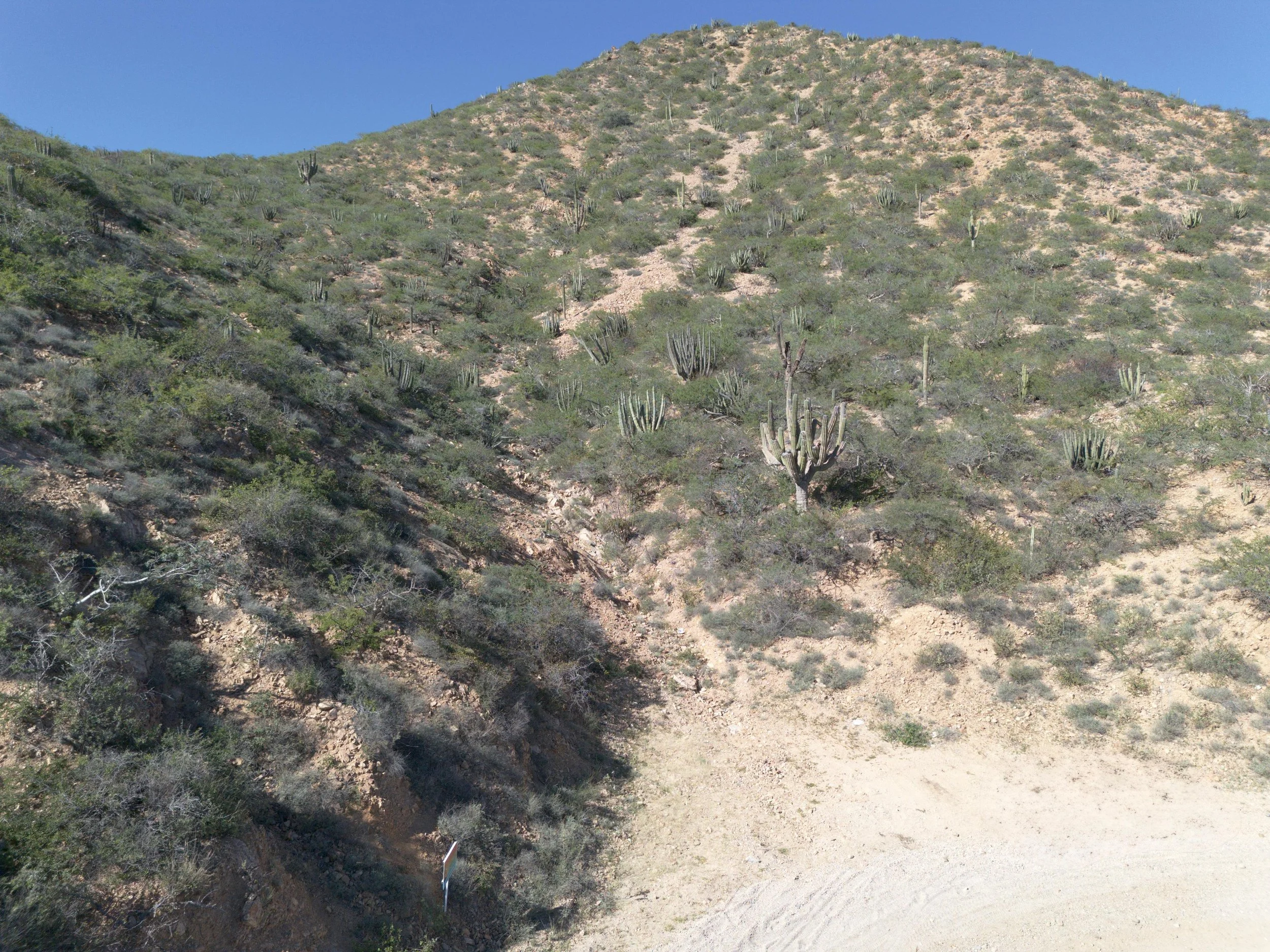 PHOTO-2026-01-10-15-40-23 2.jpg