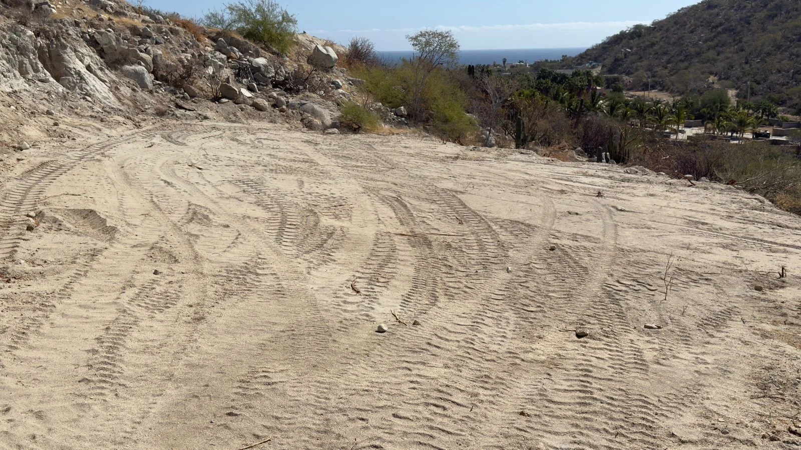 PHOTO-2026-03-09-14-20-20 2.jpg