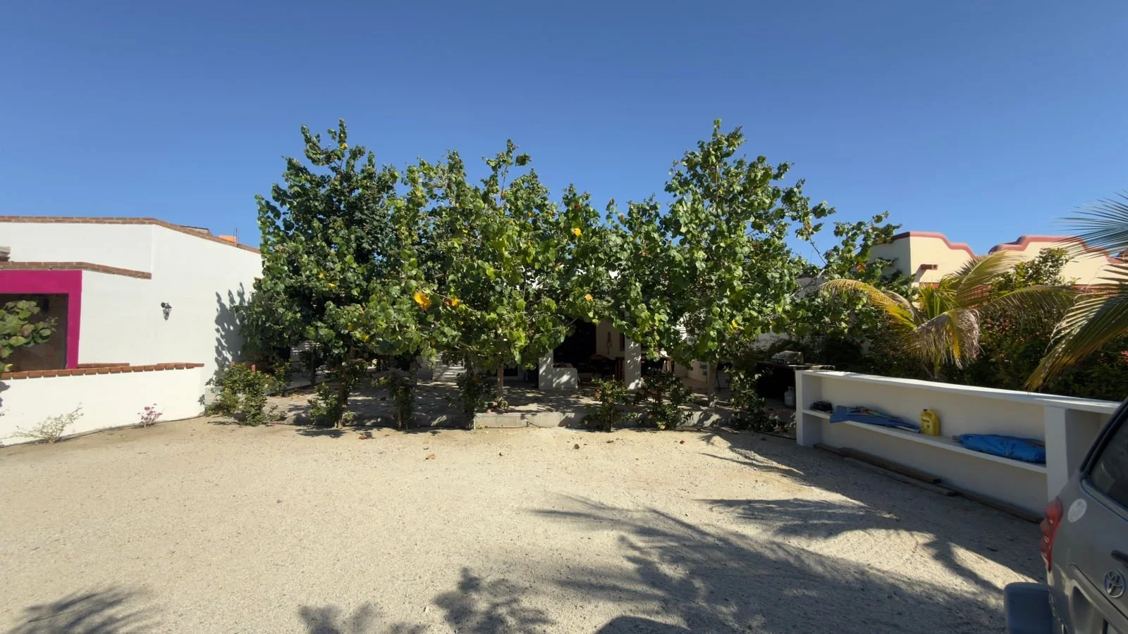 PHOTO-2026-03-09-16-38-23 9.jpg