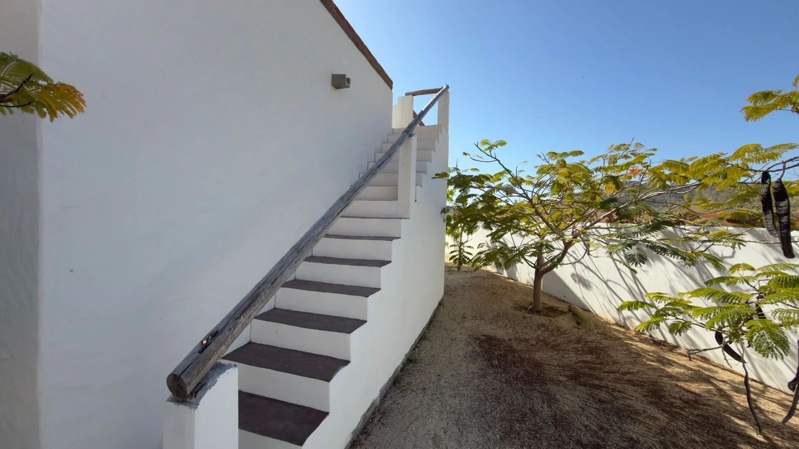 PHOTO-2026-03-09-16-38-21 2.jpg