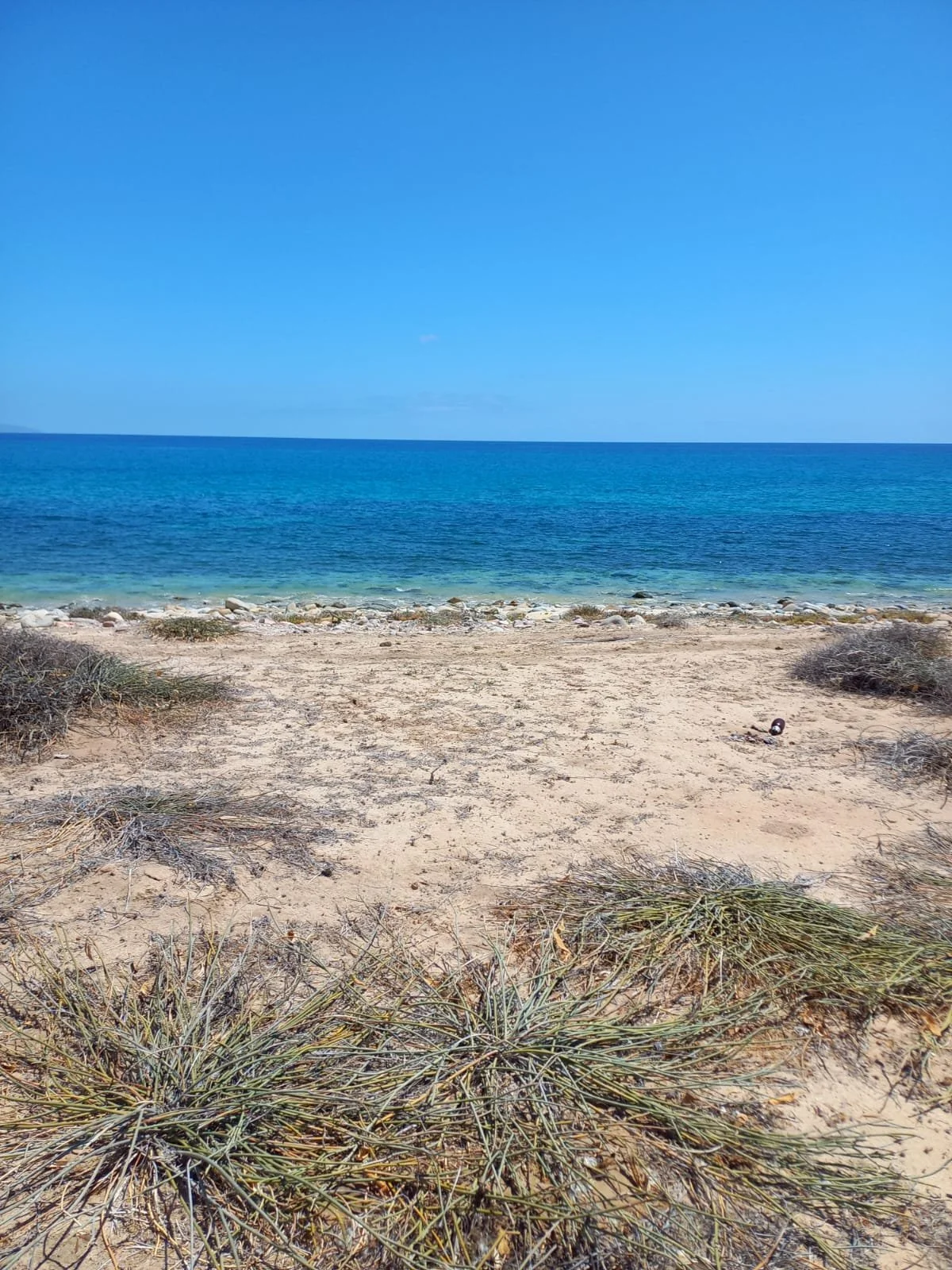 PHOTO-2025-12-04-10-49-00 3.jpg