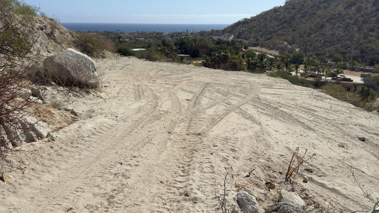 PHOTO-2026-03-09-14-20-20 9.jpg