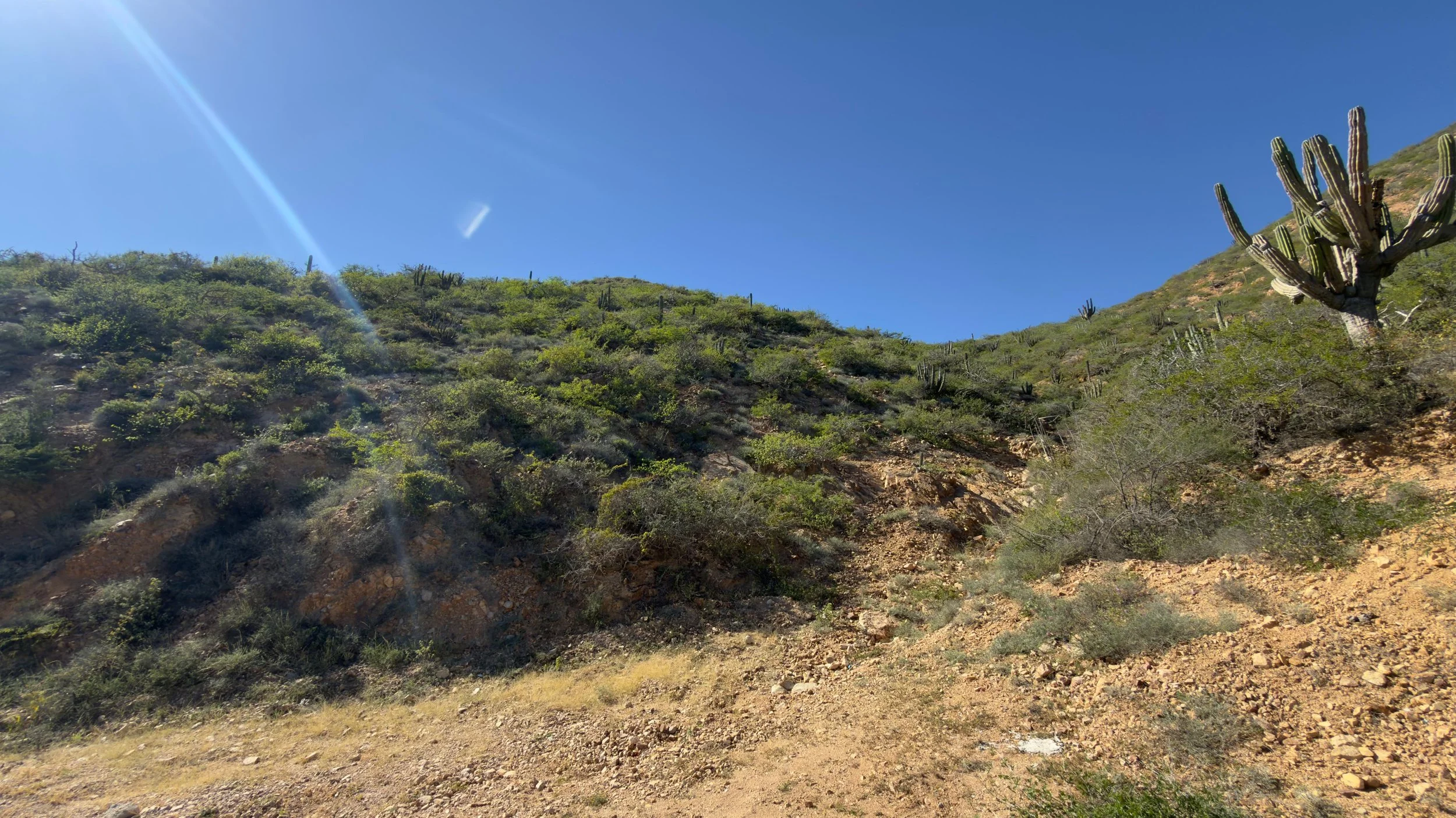 PHOTO-2026-01-10-15-40-21 5.jpg