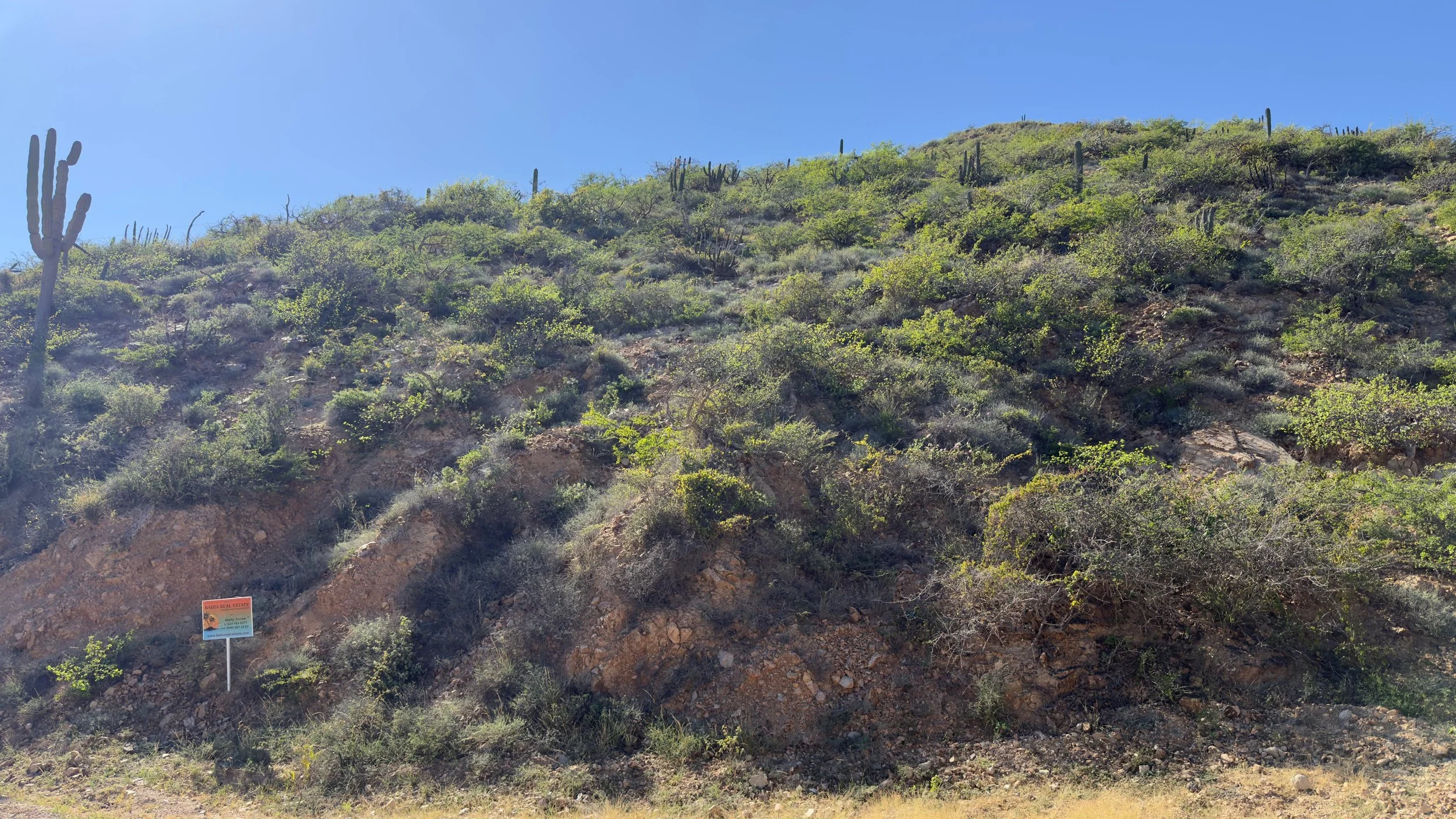 PHOTO-2026-01-10-15-40-21 4.jpg