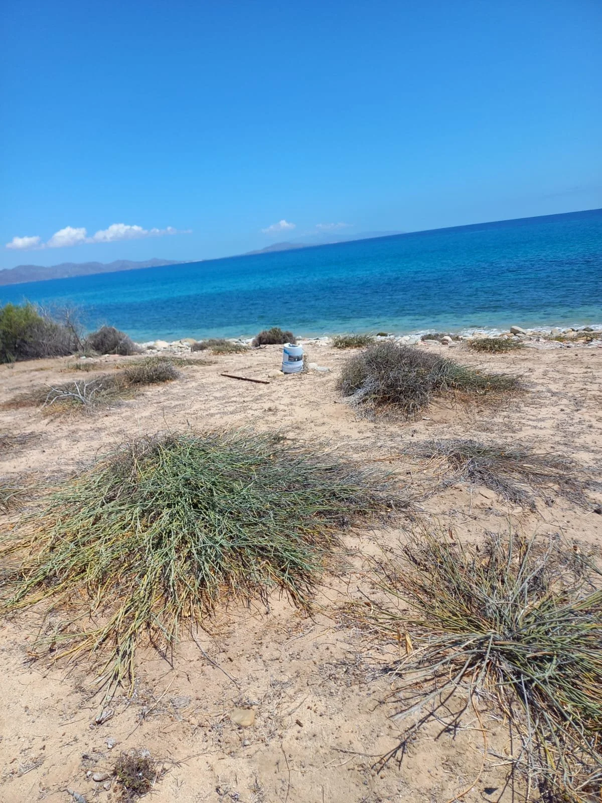 PHOTO-2025-12-04-10-49-01 2.jpg