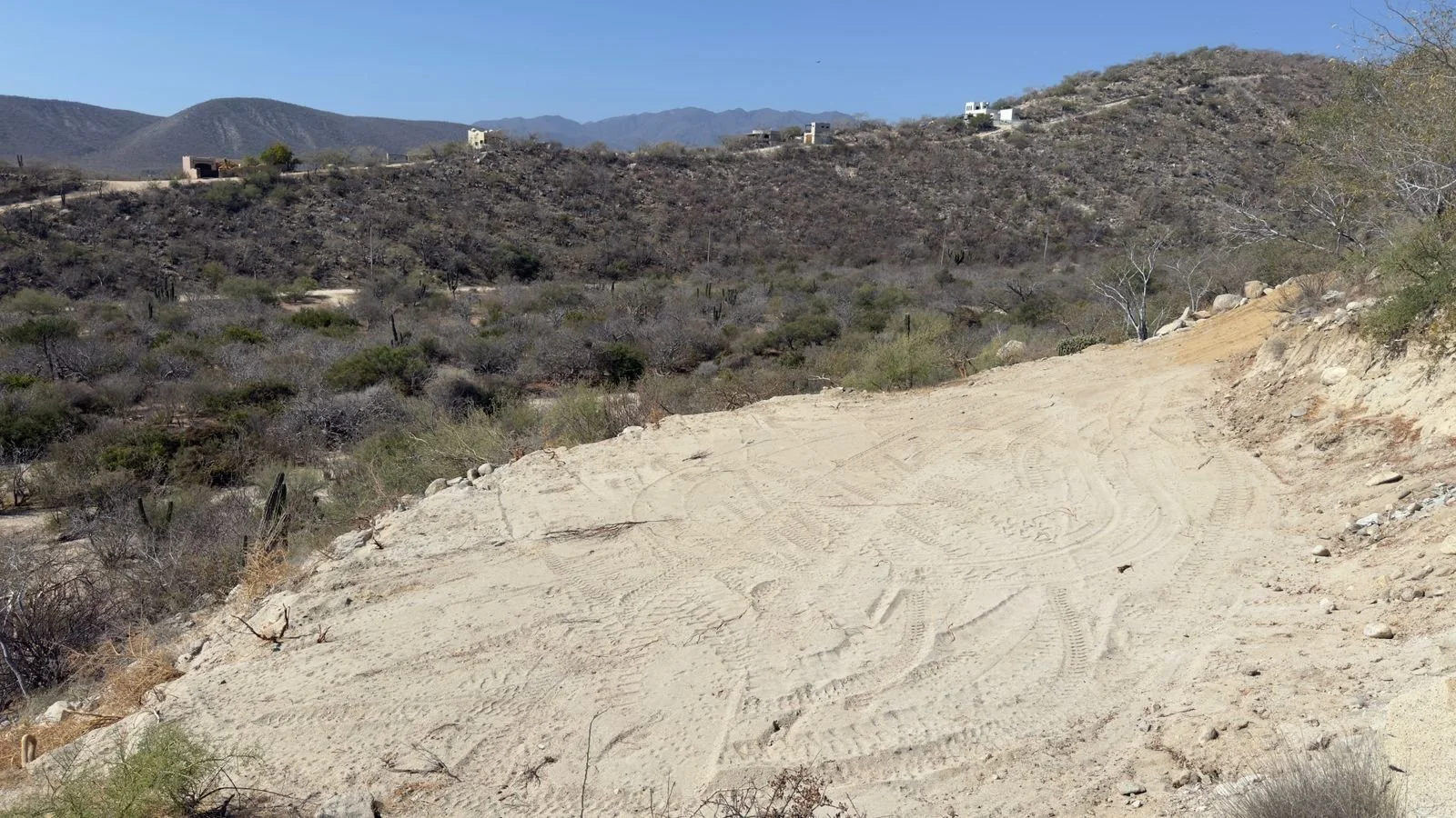 PHOTO-2026-03-09-14-20-21 2.jpg