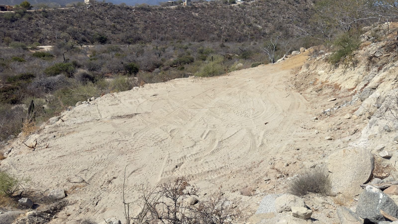 PHOTO-2026-03-09-14-20-20 6.jpg